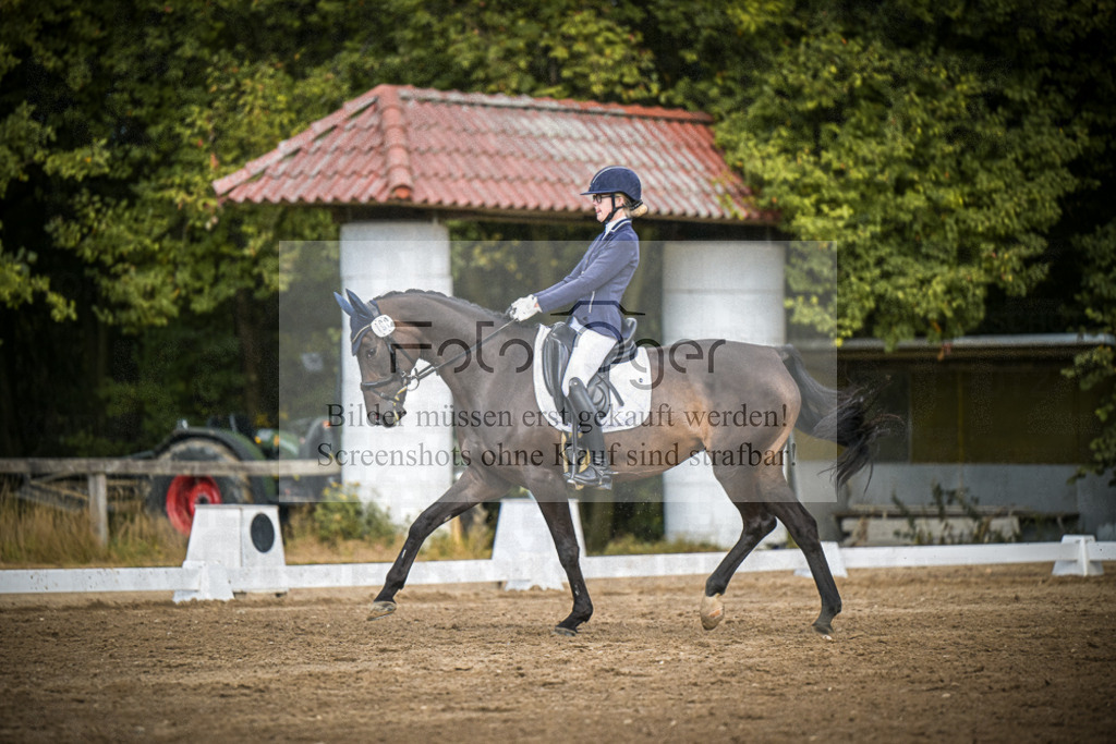 DOS_4523 | Entdecke hochwertige Reitturnierfotos von Foto Oger. Professionell, emotional und authentisch – jetzt Lieblingsmomente im Shop bestellen.Deutschlandweite Turnierfotografie. - Realisiert mit Pictrs.com