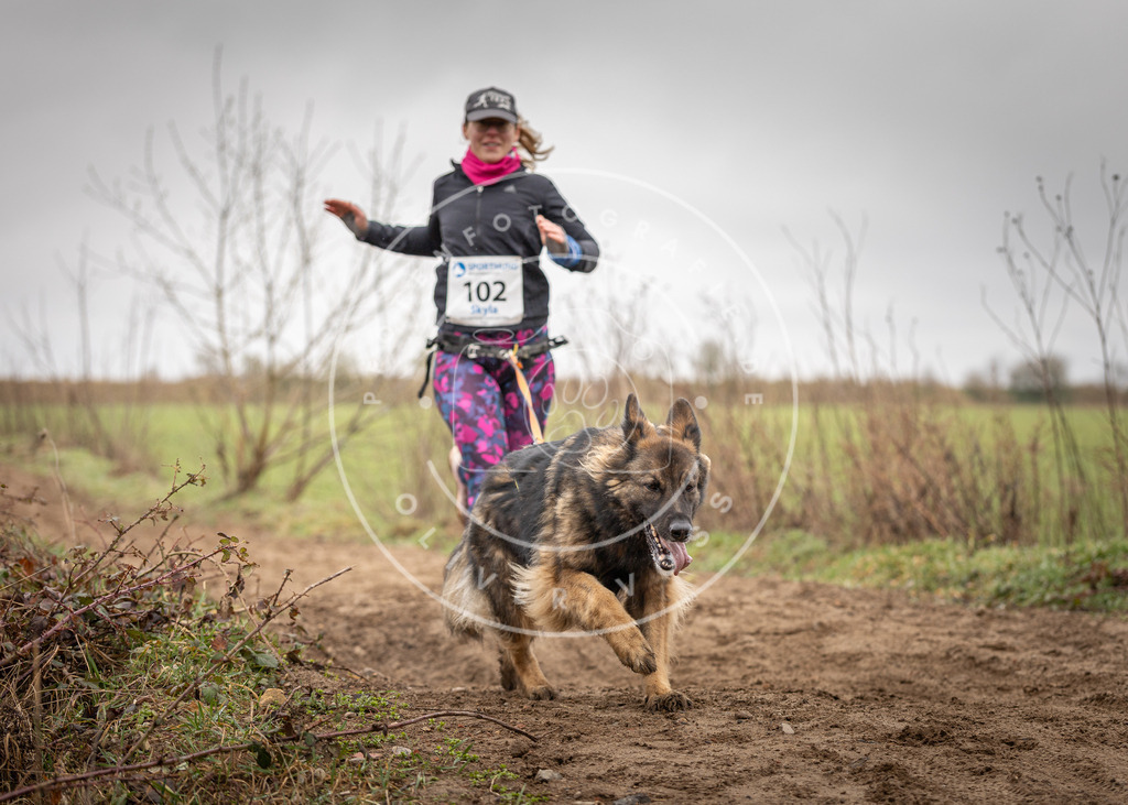 DV3A0177 | Hundefotografie, Tierfotograf, Pfotenfotografie, Fotoshooting Hund, Hunde Portrait, Hundesport, Hundeportraits, Heideshooting, Hunde, Sportfotograf, Hundefotograf, Turnierhundsport, THS,  - Realisiert mit Pictrs.com