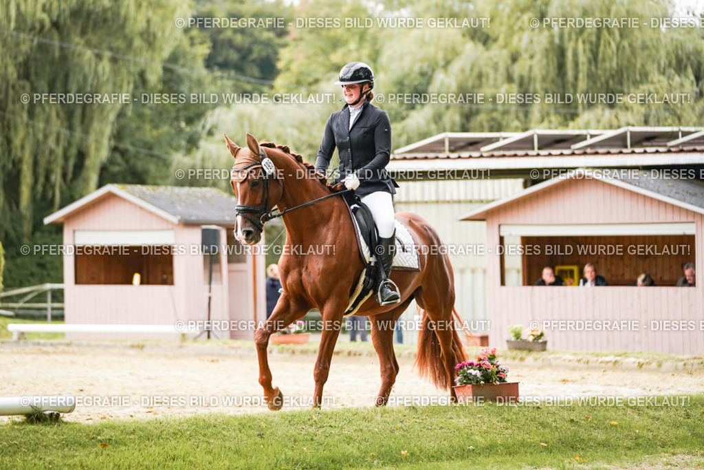 DSC08200 | Pferdegrafie