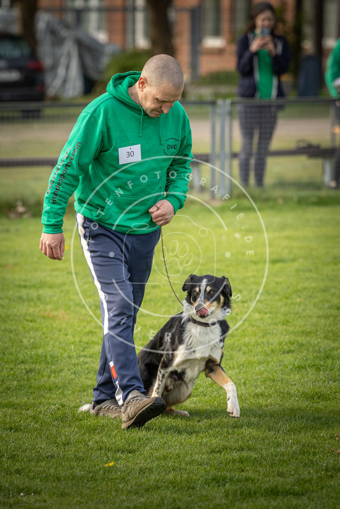 Pfotenfotografie_DV3A4897 | Hundefotografie, Tierfotograf, Pfotenfotografie, Fotoshooting Hund, Hunde Portrait, Hundesport, Hundeportraits, Heideshooting, Hunde, Sportfotograf, Hundefotograf, Turnierhundsport, THS,  - Realisiert mit Pictrs.com