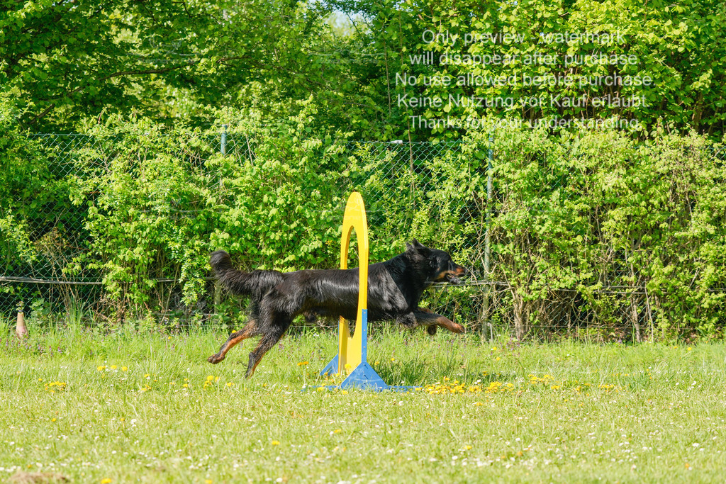 Sa_SprintVK_Gr2_03-76 | stephaniefillaphotographie - Realisiert mit Pictrs.com