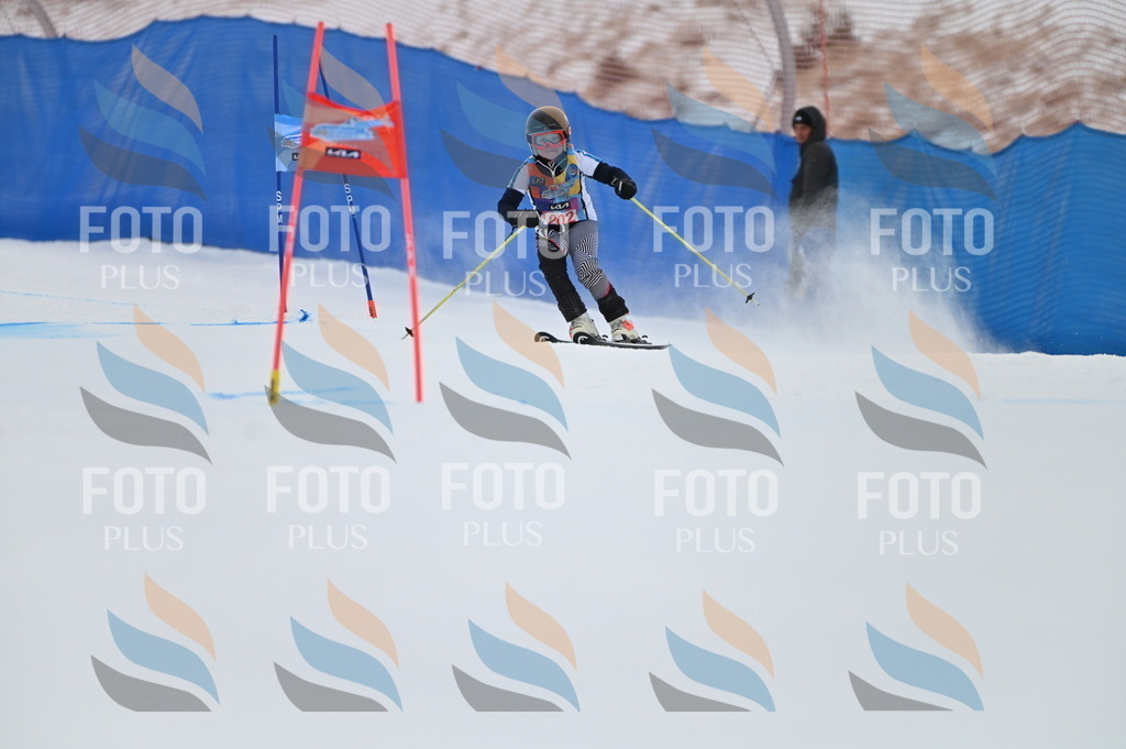 BGV_1947 | holidayphoto