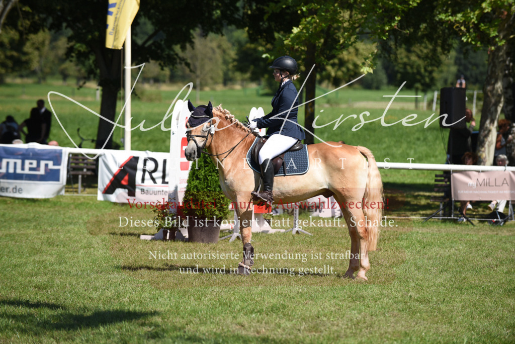 DSC_9495 | Pferde- und Turnierfotografie in Westsachsen. Pferdeportraits, Auftragszeichnungen und intuitive Kunst.