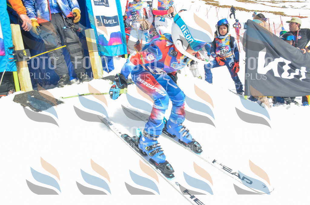 _ELE6681 | holidayphoto