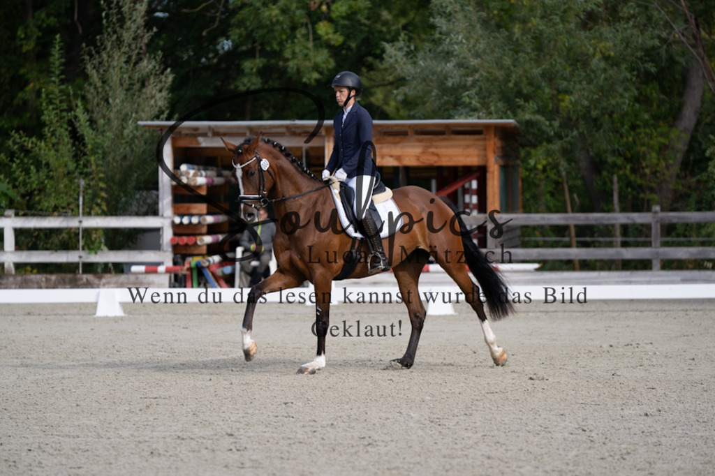 A7V06798 | Turnier/Reitfotograf
