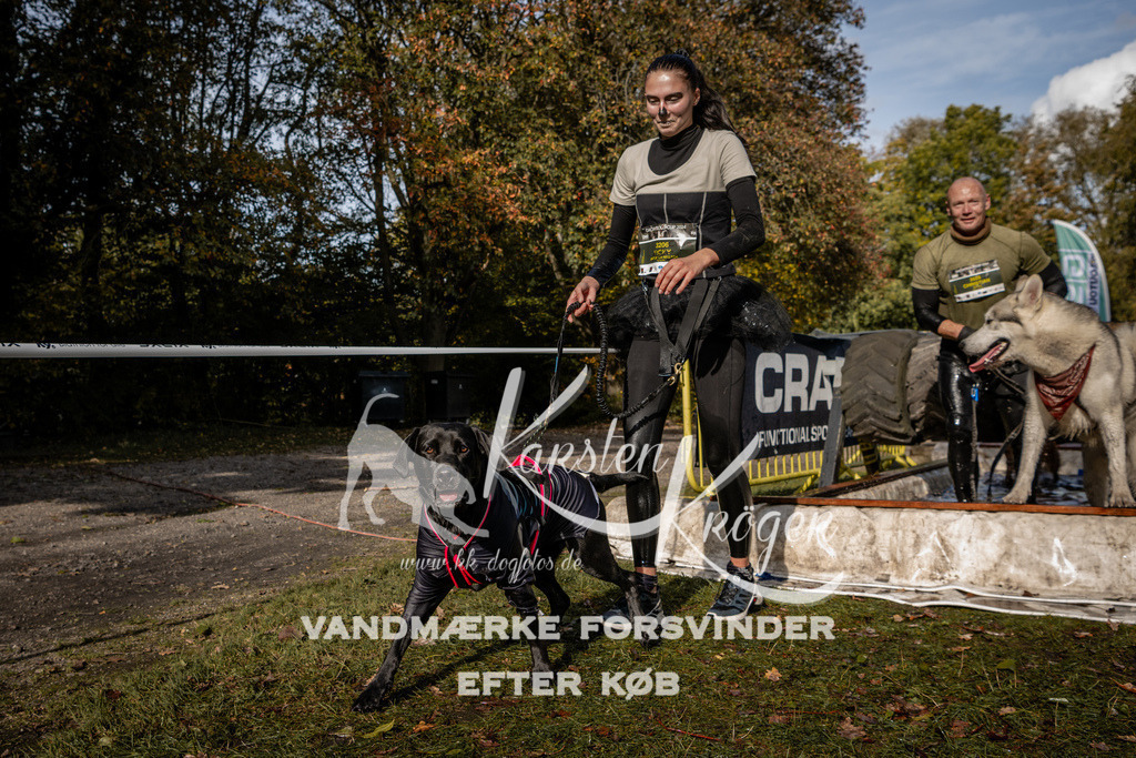 1302_ZZ91757 | kk-dogfotos