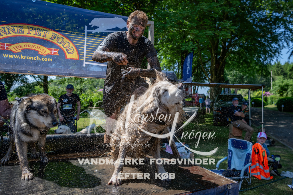 1251_ZZ90131 | kk-dogfotos