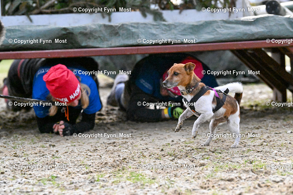 DSC_3900 | Hallo und herzlich Willkommen auf meiner Shop-Seite Fynn Most.

Ich wünsche Dir viel Spaß beim stöbern durch die Bilder, wenn Du Fragen hast oder Bilder vermisst, kannst du mir gerne eine Nachricht schreiben. - Realisiert mit Pictrs.com
