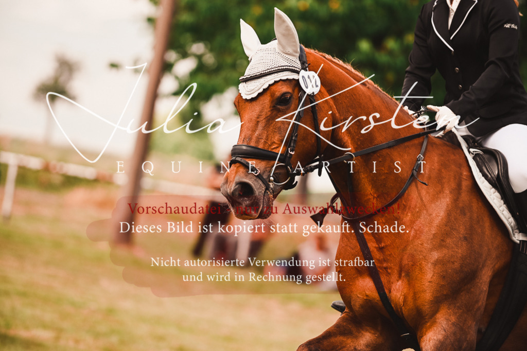 DSC_6877 | Pferde- und Turnierfotografie in Westsachsen. Pferdeportraits, Auftragszeichnungen und intuitive Kunst.