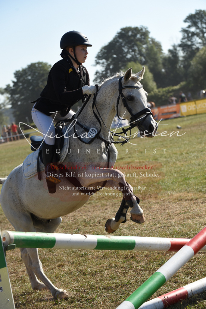 DSC_5872 | Pferde- und Turnierfotografie in Westsachsen. Pferdeportraits, Auftragszeichnungen und intuitive Kunst.