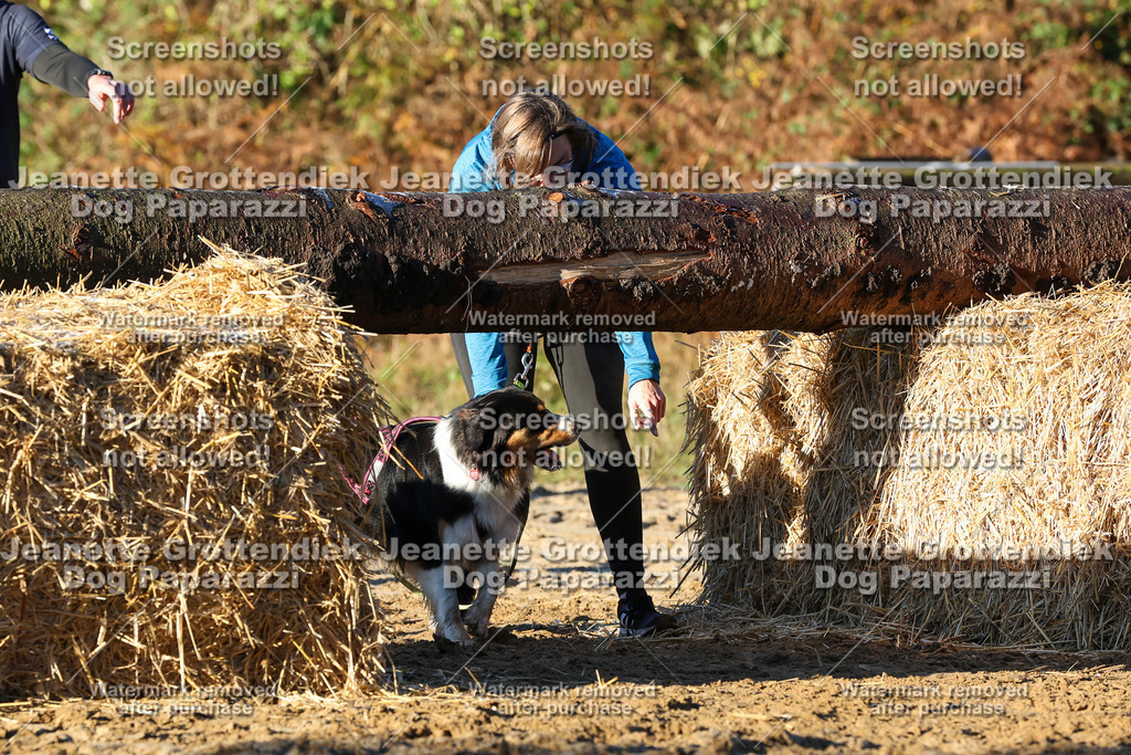 Dog Paparazzi - Strongdog 10-25-945 | Dog Paparazzi Jeanette Grottendiek Fotografie & Videografie - Realisiert mit Pictrs.com