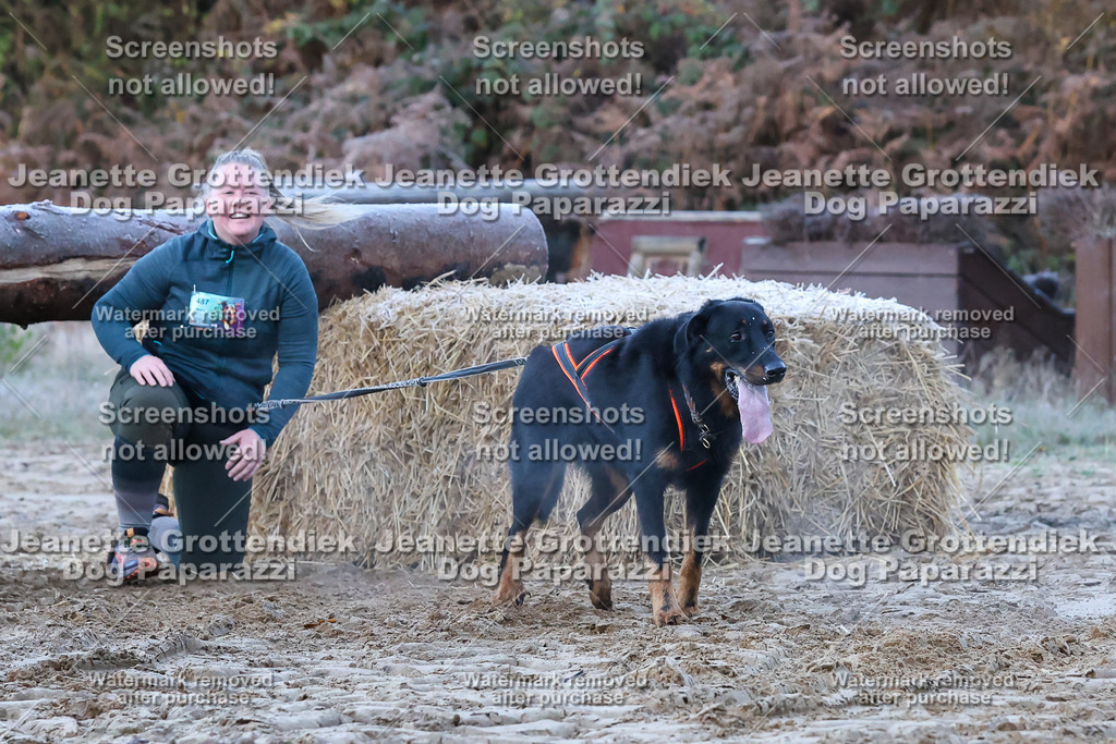 Dog Paparazzi - Strongdog 10-25-199 | Dog Paparazzi Jeanette Grottendiek Fotografie & Videografie - Realisiert mit Pictrs.com
