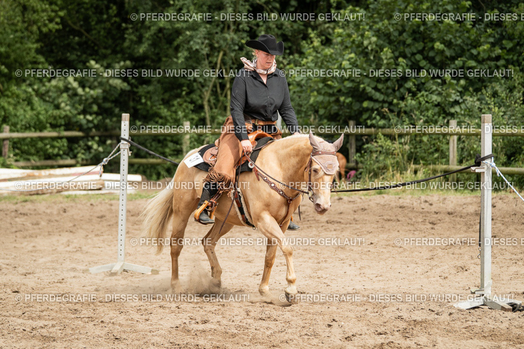 DSC03476 | Pferdegrafie