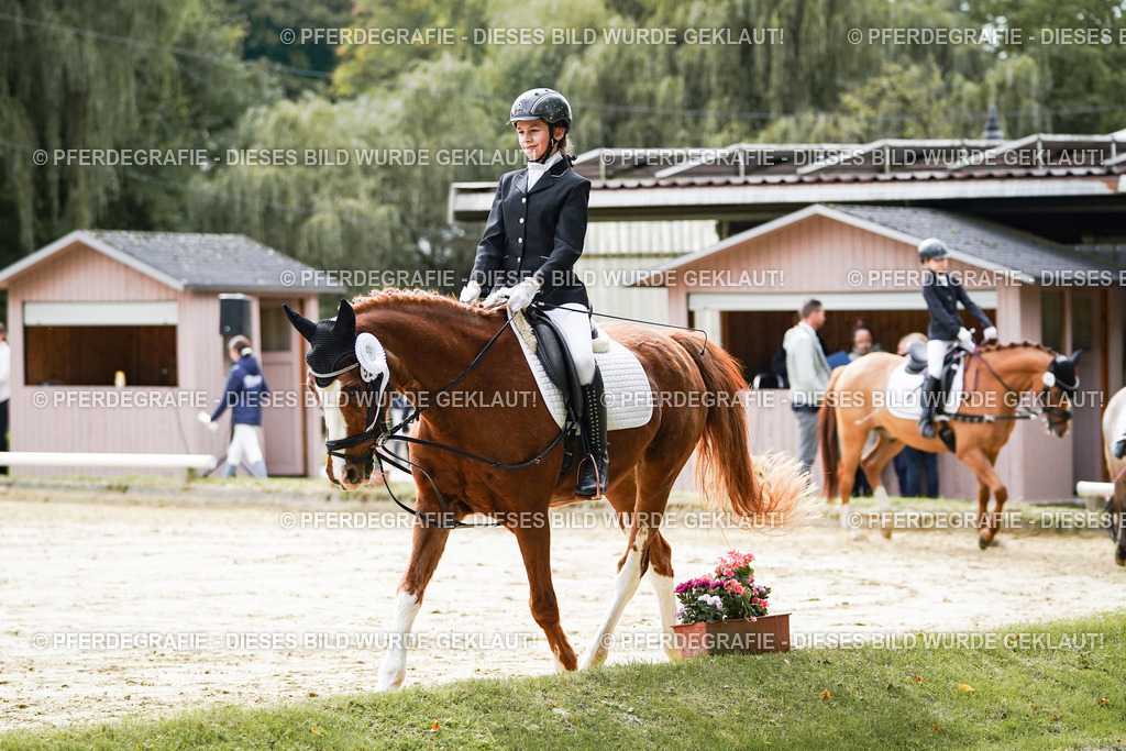 DSC05809 | Pferdegrafie