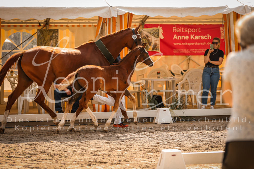 09.DoWBD00137 | Leoni Ertmer Photography - Realisiert mit Pictrs.com