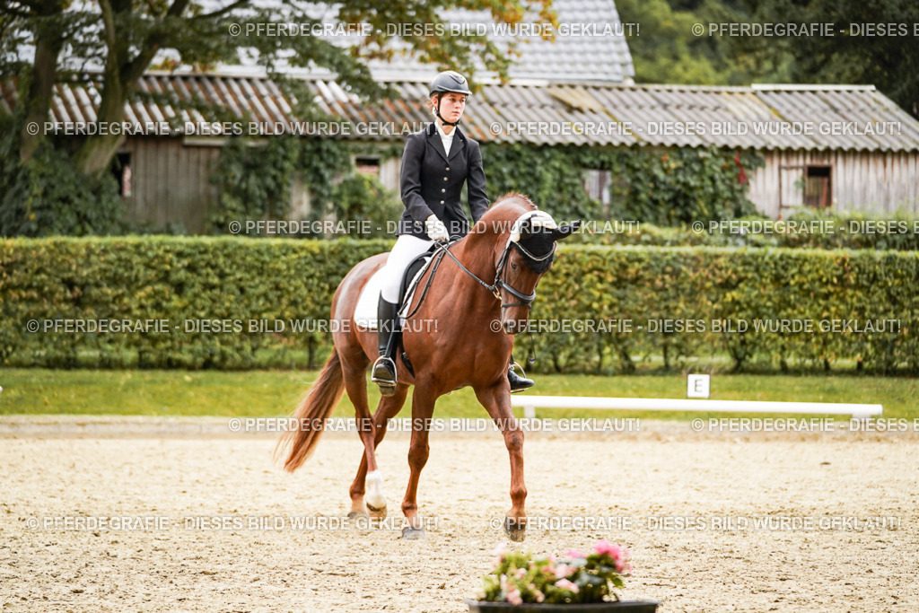 DSC08667 | Pferdegrafie