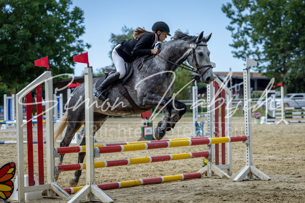 20260704-_3LI6904 | Tierfotografie Pferde, Hunde, Katzen, Haustiere.
Turnierfotografie Reitturniere, Reiten, Springreiten, Dressur in Hanau, dem Main-Kinzig-Kreis und dem Rhein-Main- Gebiet um Frankfurt