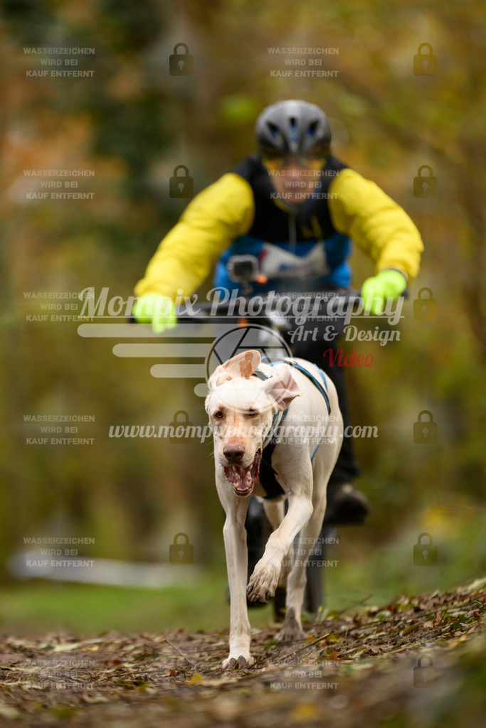 MompixPhotography_Bischwiller24_SA_VTT-10 | PayLife