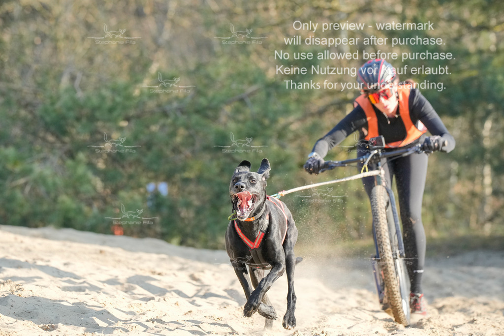 So_Scooter-73 | stephaniefillaphotographie - Realisiert mit Pictrs.com