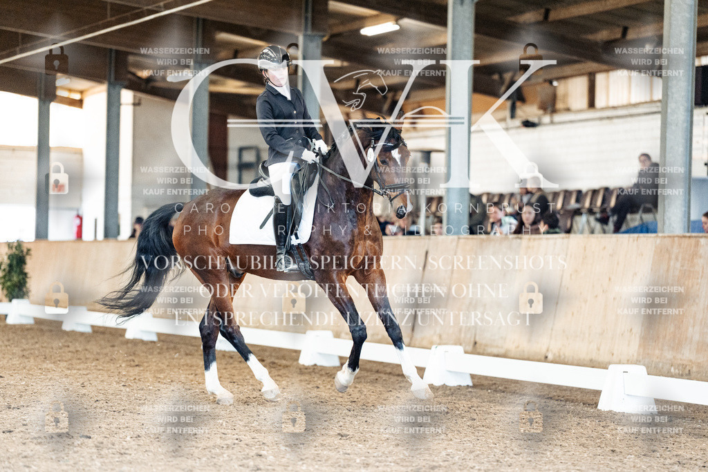 CK909888 | Turnierfotografie Pferdefotografie Trier Rheinland-Pfalz Pferdesport Reitsport Tierfotografie Sportfotografie Pferdevideo Pferdevideografie Equestrianvideography equestrianphotography  - Realisiert mit Pictrs.com