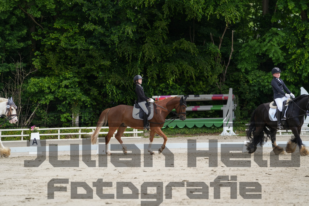 DSC03100 | Julian Held Fotografie - Realisiert mit Pictrs.com