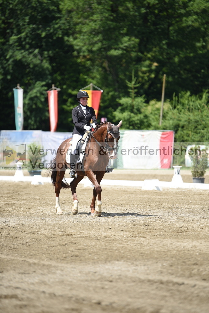 DSC_8798 | equestrian-live-com