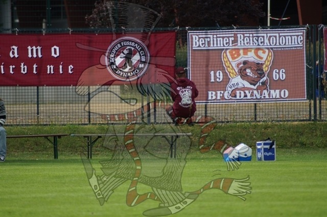 BFC Dynamo vs. VSG Altglienicke 015 | mythos-online-redaktion
