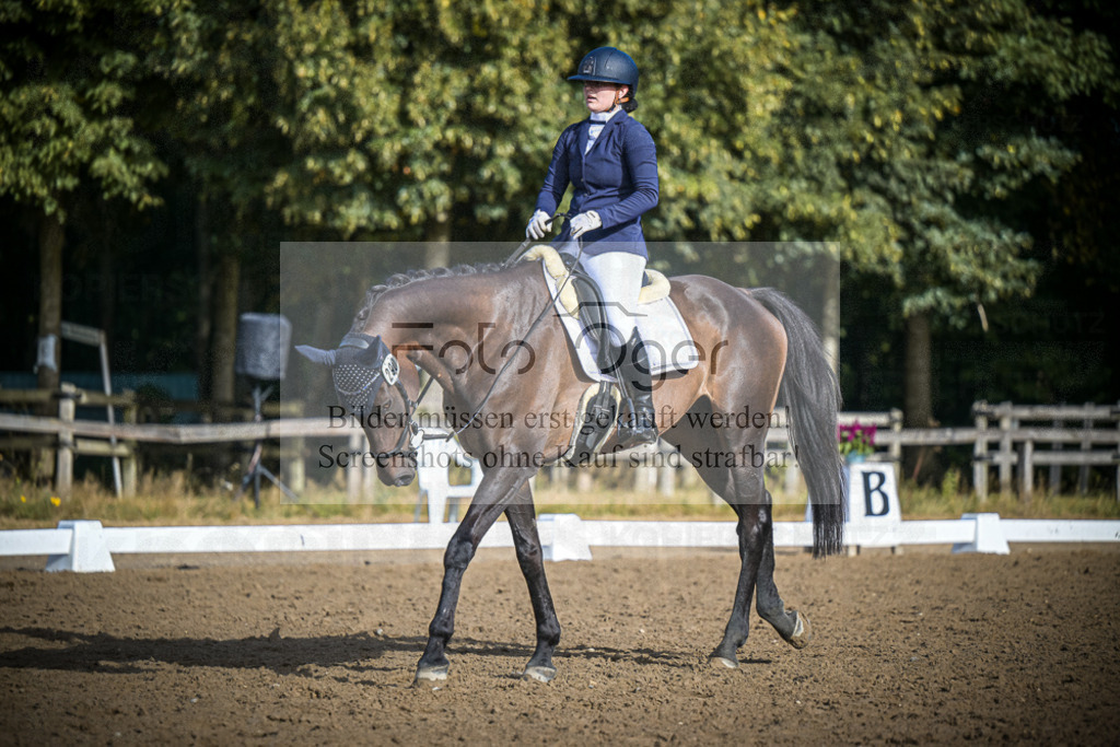 DOS_0517 | Entdecke hochwertige Reitturnierfotos von Foto Oger. Professionell, emotional und authentisch – jetzt Lieblingsmomente im Shop bestellen.Deutschlandweite Turnierfotografie. - Realisiert mit Pictrs.com