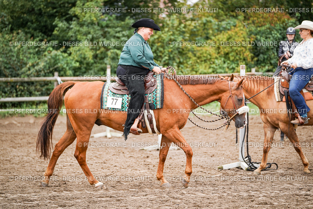 DSC02898 | Pferdegrafie