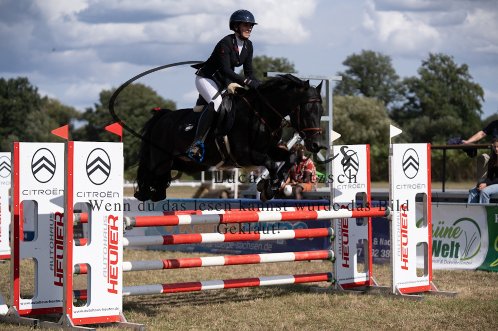 A7V09091 | Pferdefotograf