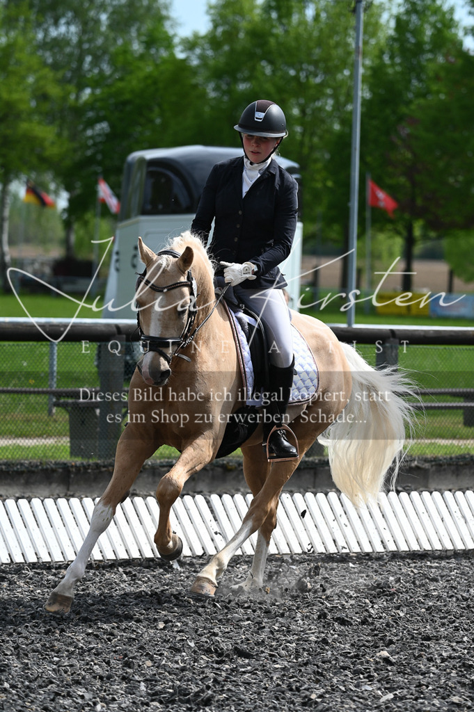 20230512_JK-Röhrsdorf-01-040 | Pferde- und Turnierfotografie in Westsachsen. Pferdeportraits, Auftragszeichnungen und intuitive Kunst.