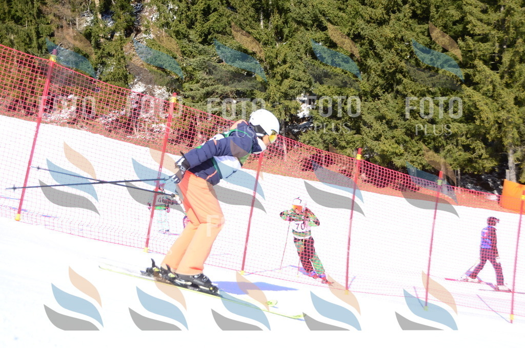 C4485 | holidayphoto