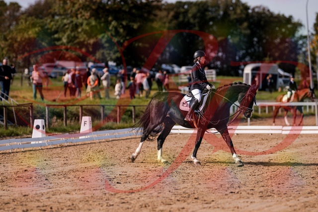 2026_10_03_Siefer-Hof_121555_Z81_17903931 | Professionelle Reitsport-, Turnier- und Eventfotografie von Robert Broda. Galerien mit ausgewählten und bearbeiteten Bildern direkt online ansehen und bestellen.
