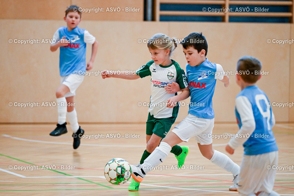 ASVÖ_ Fussballturnier SV Gallneukirchen_ 08.02.2025-26 | 08.02.2025, Gallneukirchen, AUT, ASVÖ, Fussball Nachwuchs Hallenturnier 2025, SV Gallneukirchen im Bild Teilnehmer U 7©Harald Dostal / fodo.media - Realisiert mit Pictrs.com