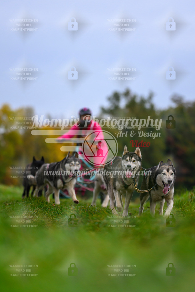MompixPhotography_CDLBDB2025_DI_Kart-35 | PayLife