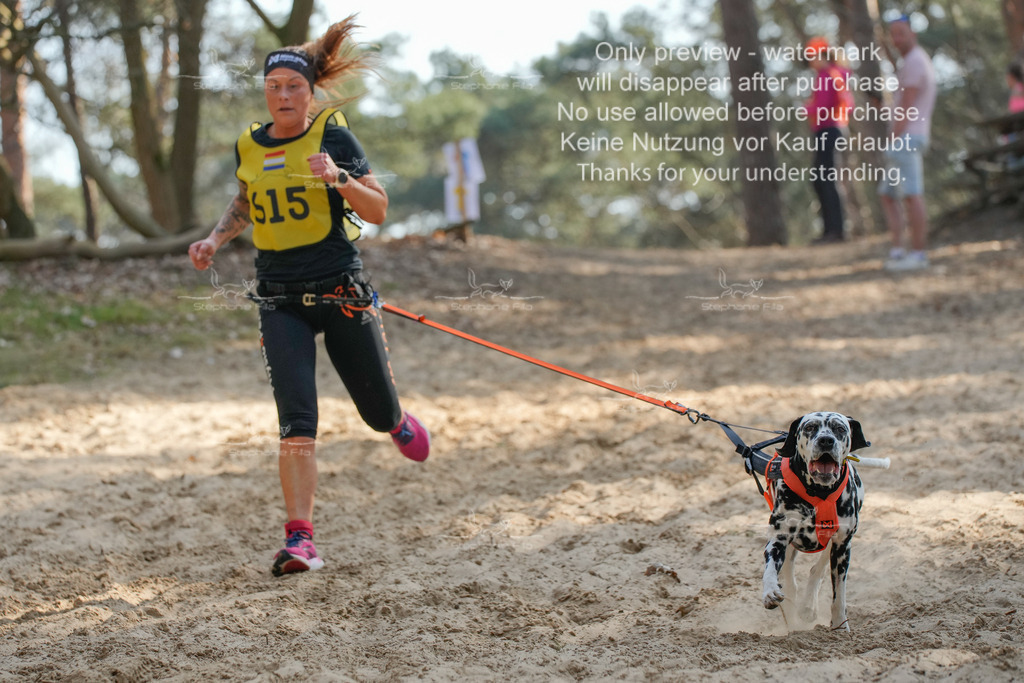 So_Fun-71 | stephaniefillaphotographie - Realisiert mit Pictrs.com