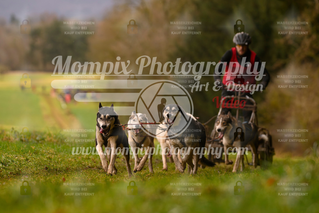 MompixPhotography_2SSTSSBW_2025_SO_Kart-42 | PayLife