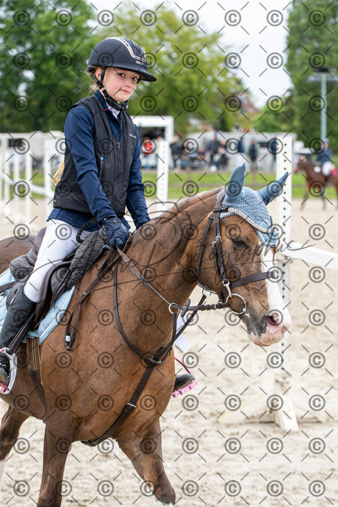 KPT_8138 | andre_photographic