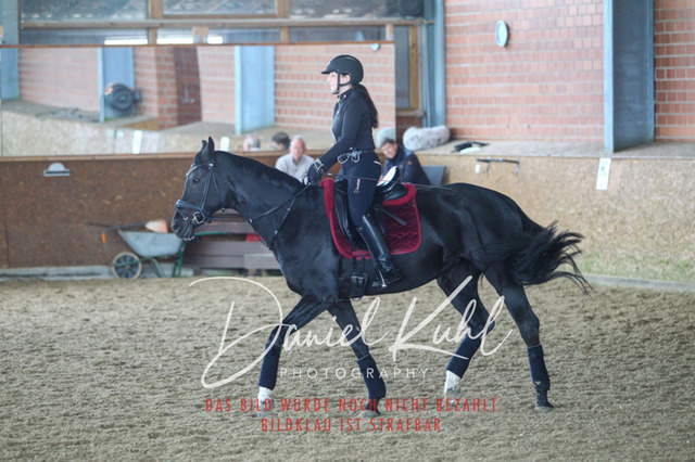 DKP42876 | Turniersportfotografie; Pferdefotografie; Dressurfotografie