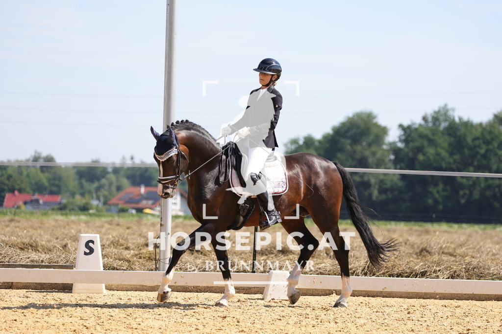 0P6A9606 | Willkommen bei Brunnmayr - Design & Fotografie – Ihrem Spezialisten für Reitturniere und Pferdeveranstaltungen in Oberösterreich, Salzburg und Bayern! Seit über 17 Jahren sind wir leidenschaftlich dabei.