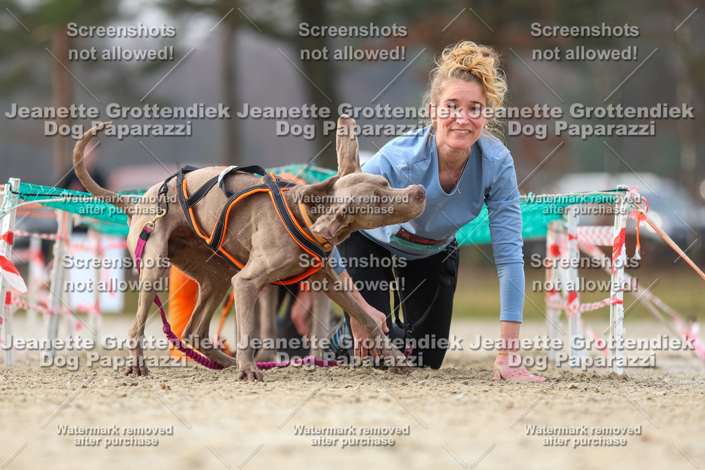Dog Paparazzi - Strongdog North Mrz26-4236 | Dog Paparazzi Jeanette Grottendiek Fotografie & Videografie - Realisiert mit Pictrs.com