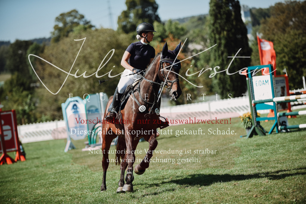 DSC_3278 | Pferde- und Turnierfotografie in Westsachsen. Pferdeportraits, Auftragszeichnungen und intuitive Kunst.