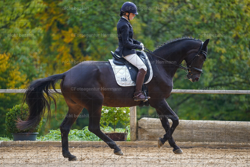 20221008-FAH00755 | Diessen am Ammersee, 2022, Dressur- und Springturnier, Reitsportbilder, Turnierfotografen Bayern, Pferdefotografen, Fotoagentur Herrmann, Turnierbilder