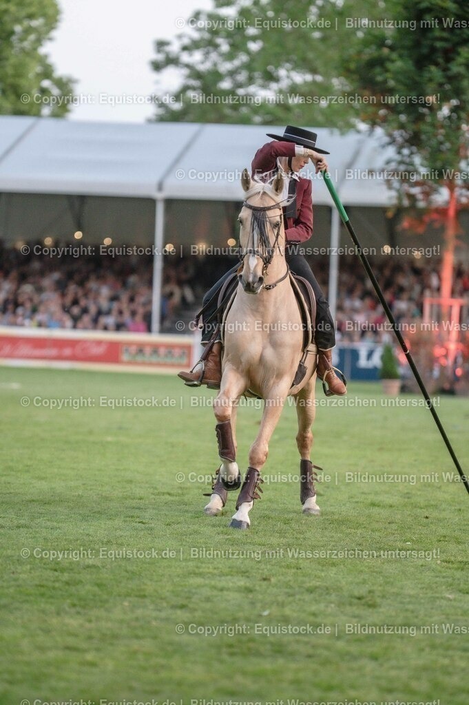 20230526_Pferdenacht_0713 | equistock
