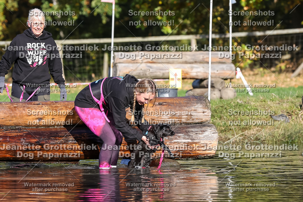 Dog Paparazzi - Strongdog 10-25-8757 | Dog Paparazzi Jeanette Grottendiek Fotografie & Videografie - Realisiert mit Pictrs.com