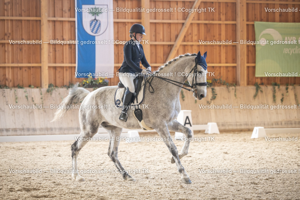 _D5A6176 | Emotionale Pferde- & People-Fotografie rund um Heidelberg, Leimen & Umgebung. Natürliche Fotos von Pferd, Mensch & Familie. Jetzt Termin sichern!