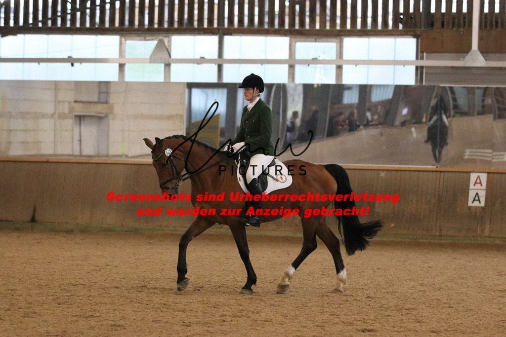 IMG_3540 | lmwpictures - Realisiert mit Pictrs.com