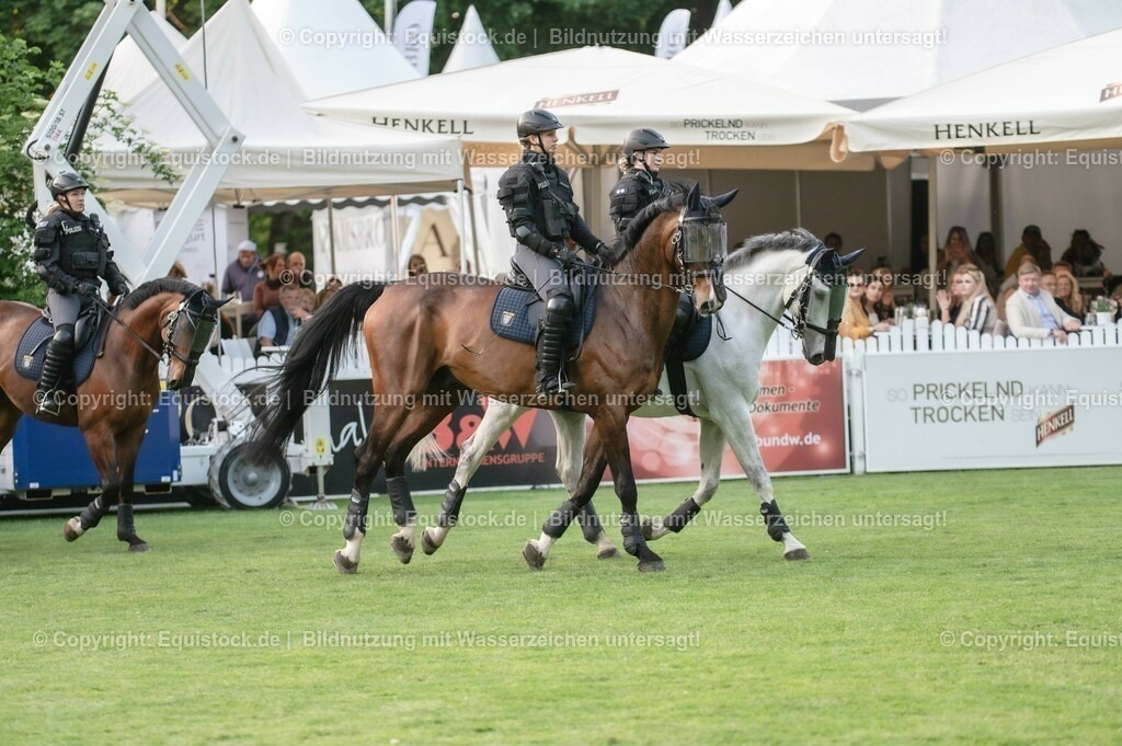 20230526_Pferdenacht_0344 | equistock