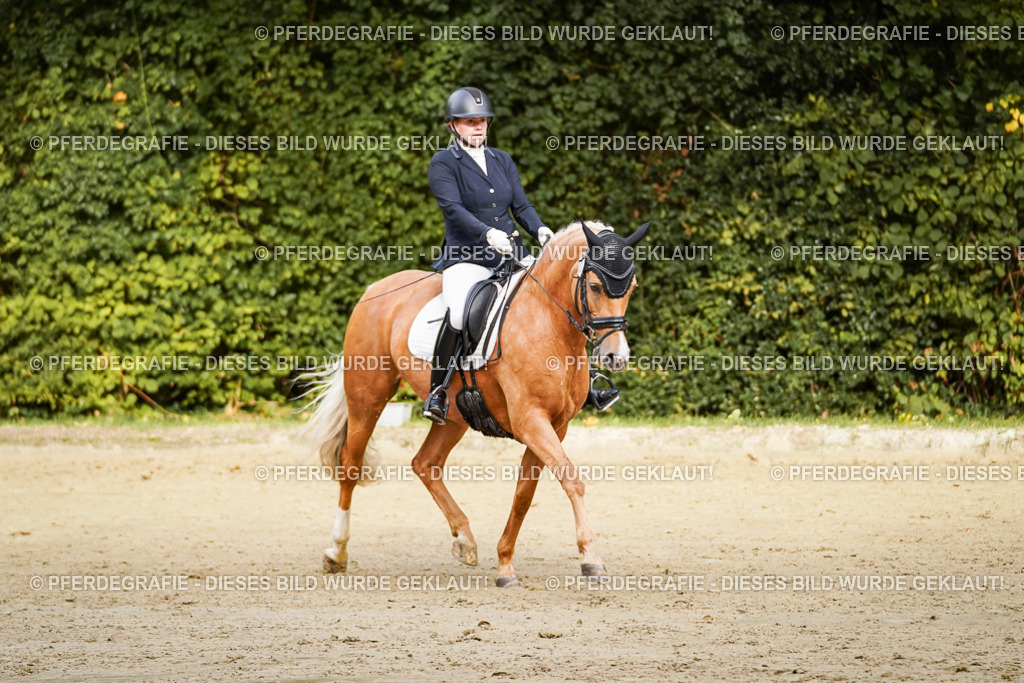 DSC09316 | Pferdegrafie