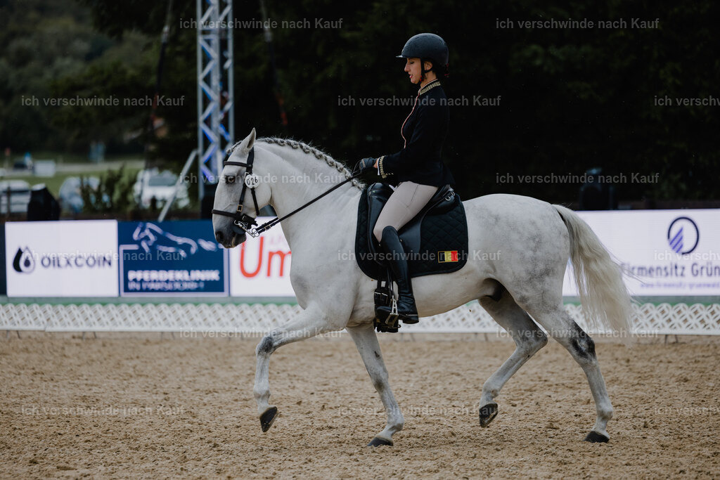 Virginie12FHC2025-25170 | working equitationturnier fotograf videograf stoibphotography marixx film working equitation deutschland reitsport turnierfotografie eventfotografie equestrian events